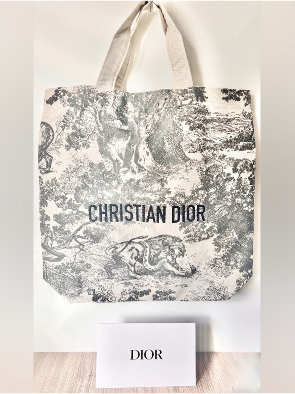 Dior Canvas Tote in Cream and Gray Toile de Jouy